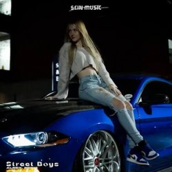 Мұқаба ALEEX, DEENI - Street Boys