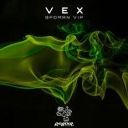Мұқаба VEX - Northern Funk (Leks Remix)