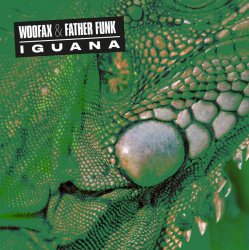Мұқаба Iguana - Illimani