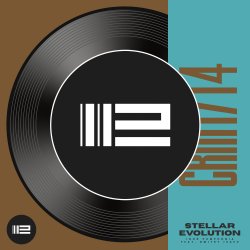 Мұқаба Igor Pumphonia & Dmitry Isaev - Stellar Evolution