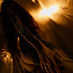Мұқаба Timagor - The twilight