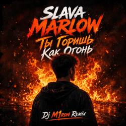 Мұқаба ТЫ ГОРИШЬ КАК ОГОНЬ (Dj M1ron Remix)