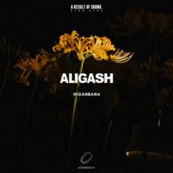 Мұқаба ALIGASH - Moon Bay At Sunset (Extended Mix)
