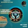 Yin-Yang - Кома