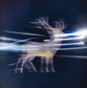 Мұқаба Albedo Waves - Le Feu Sauvage Albedo Waves - Le Feu Sauvage