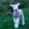 Мұқаба Julia Wolf - lamb (feat. Kellin Quinn) Julia Wolf - lamb (feat. Kellin Quinn)