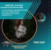 Мұқаба Dark Me, O'Kyara - O'Kyara Calling (Trip Hop Vers) Dark Me, O'Kyara - O'Kyara Calling (Trip Hop Vers)