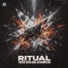 Мұқаба Tiesto & Rita Ora - Ritual (DJ Nowitzki Remix) Tiesto & Rita Ora - Ritual (DJ Nowitzki Remix)