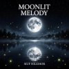 Обкладинка Vasilii CECEGOV & Atom - Moonlit melody Vasilii CECEGOV & Atom - Moonlit melody