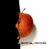 Cover Чернозем - Серенада / Горько Чернозем - Серенада / Горько