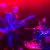 Мұқаба Joseph Studio Friends Jam Session - Improvisation of Rock'n'roll 1993