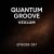 Мұқаба Vexlum - Quantum Groove 037