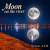 Мұқаба DJ-Lion- Л. Е. В. - Moon on the river