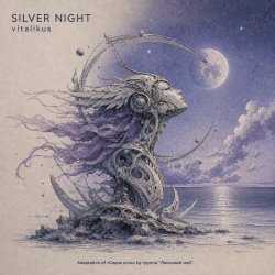 Мұқаба ViTaLiKuS - SILVER NIGHT