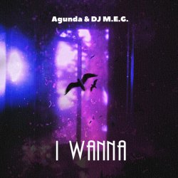 Мұқаба Agunda, DJ M.E.G. - I Wanna