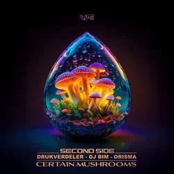 Мұқаба Orisma & DJ Bim feat. Kata - Requiem To A Dream (Original Mix)