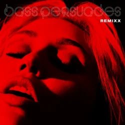 Мұқаба Bass Persuades (Remixx)