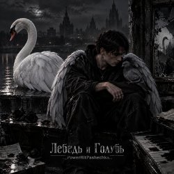 Мұқаба PowerHitPashechka - Лебедь и Голубь