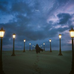 Мұқаба Aimer - Wren