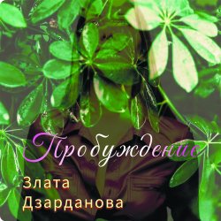Мұқаба Пробуждение