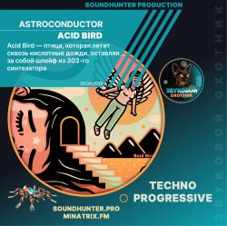 Мұқаба Astroconductor - Acid Bird