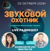 Звуковой Охотник - Радиошоу Выпуск #91