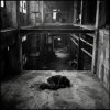 Мұқаба SerDi - Concrete Lungs SerDi - Concrete Lungs