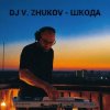 Pochette Dj Vasya Zhukov - Шкода Dj Vasya Zhukov - Шкода