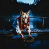 Мұқаба Русава - Плывет веночек Русава - Плывет веночек