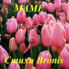 Мұқаба BRONIS AI - С ДНЁМ РОЖДЕНИЯ МАМА BRONIS AI - С ДНЁМ РОЖДЕНИЯ МАМА