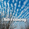 Мұқаба Яна RU - Небо в клеточку Яна RU - Небо в клеточку