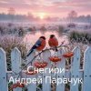 Cover Андрей Парачук - Снегири Андрей Парачук - Снегири