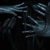 Мұқаба Anima Corpus - Сирена Anima Corpus - Сирена
