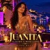 Мұқаба remix Micke Leone - Juanita by Gino Baci remix Micke Leone - Juanita by Gino Baci