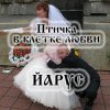 ЙАРУС - Птичка в клетке любви