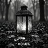 Мұқаба Fool. - Фонарь Fool. - Фонарь