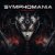 Мұқаба DRUiD - Symphomania