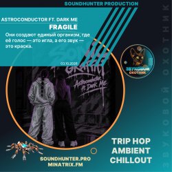 Мұқаба Astroconductor ft. Dark Me - Fragile