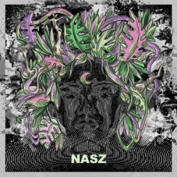 Мұқаба Nasz - Believe