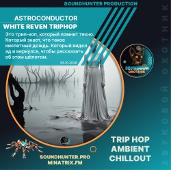 Мұқаба Astroconductor - White Reven Triphop