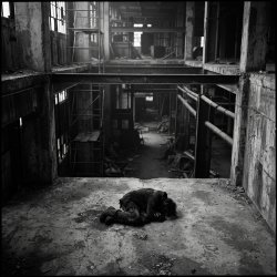 Мұқаба SerDi - Concrete Lungs