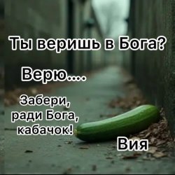 Мұқаба Вия (Viya) - Кабачок