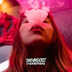 Мұқаба 90bangerz, DJ Combo - Run The Night