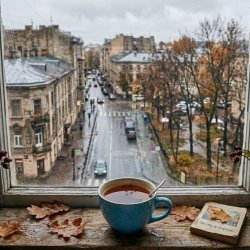 Мұқаба Blue cup