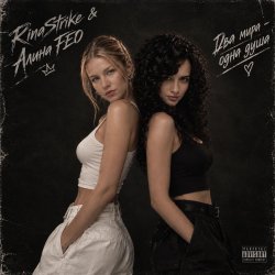 Мұқаба RinaStrike & Alina FEO - два мира одна душа