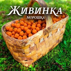 Мұқаба Морошка