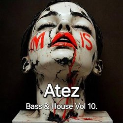 Мұқаба Atez - Bass & House Vol 10.