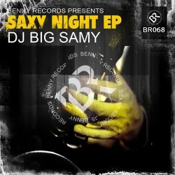 Мұқаба DJ Big Samy - Feel The Music (Original Mix)