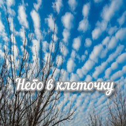 Мұқаба Яна RU - Небо в клеточку