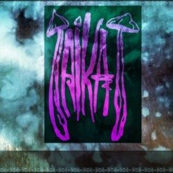 Мұқаба Taika T - Jahtijjahti